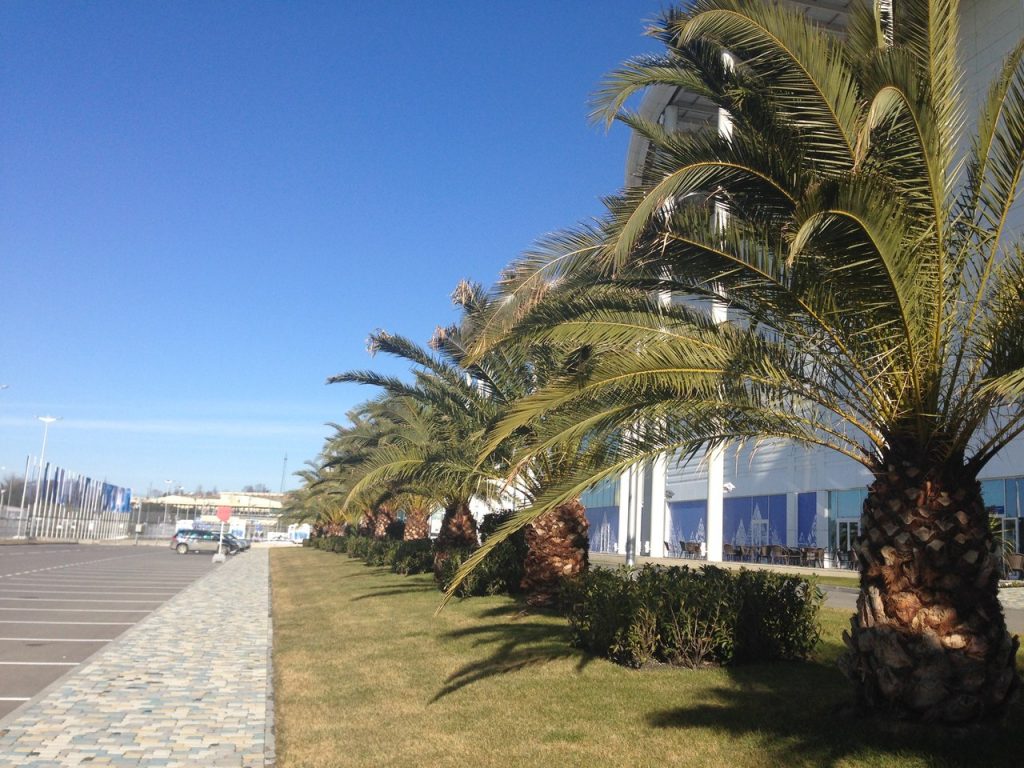 Сочи_погода