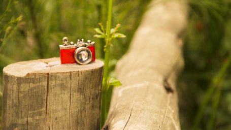 Сезон открыт