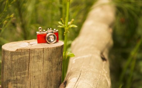 Сезон открыт