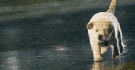 Миссия выполнима. Успеть все