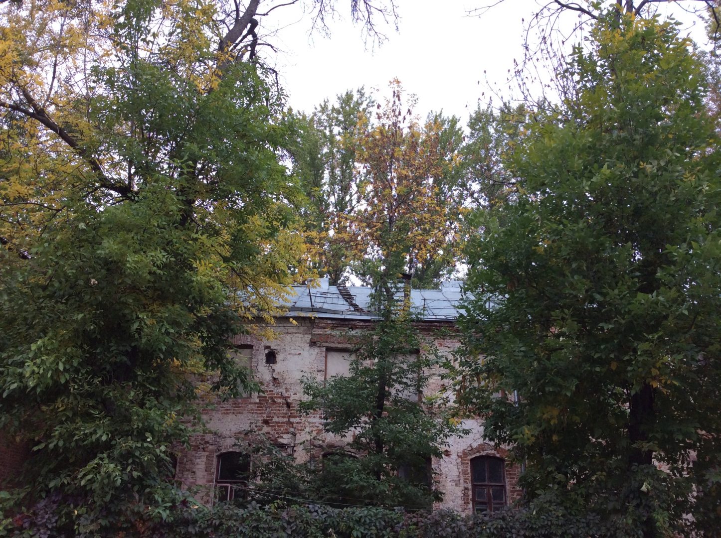 24_усадьба голицыных кривоколенный