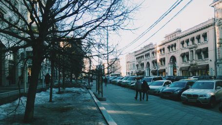 Птенцы гнезда Петровки