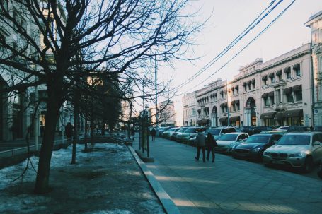 Птенцы гнезда Петровки