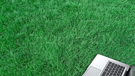 Жаркая пора