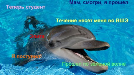 Это я поступил