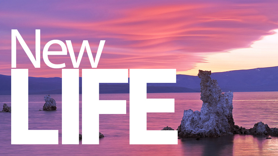 newlife2