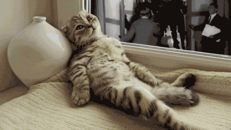 Майнор: что почем?