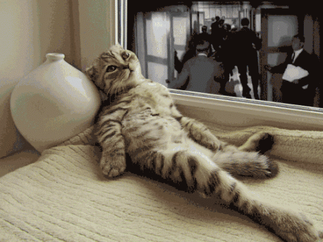 Майнор: что почем?