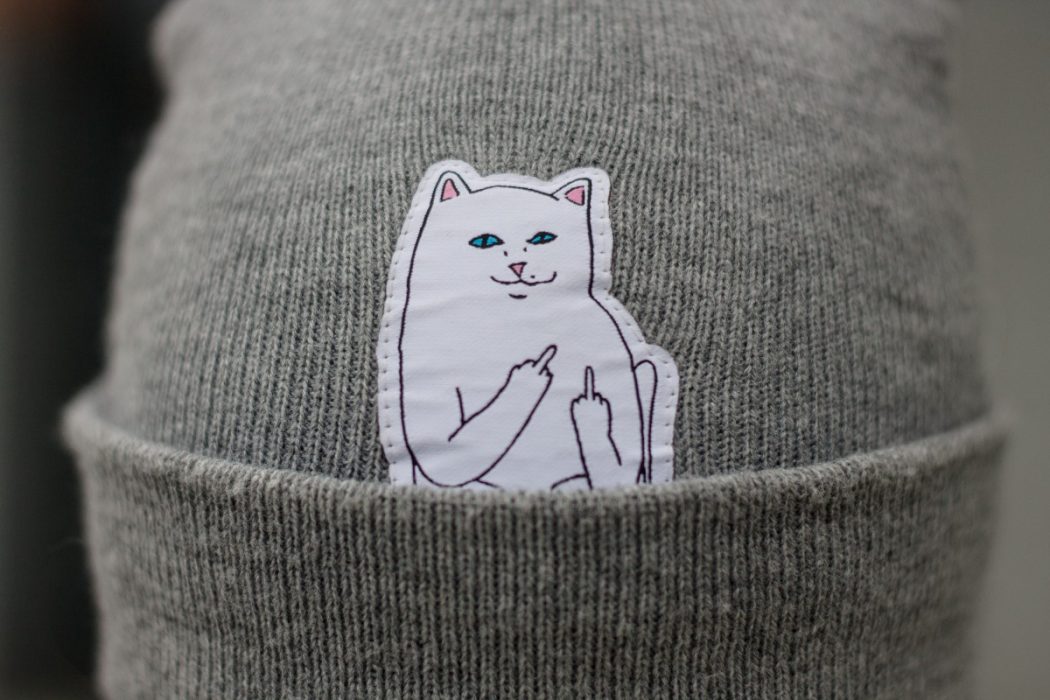 Кот вышкаlook