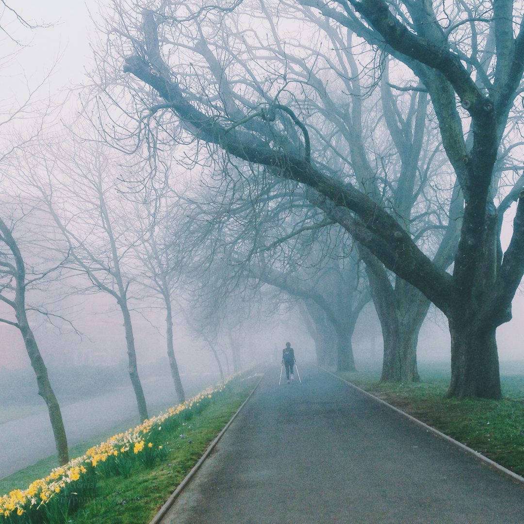 Processed with VSCOcam with c1 preset