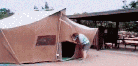 Мои прошедшие студенческие: летний нон-стоп