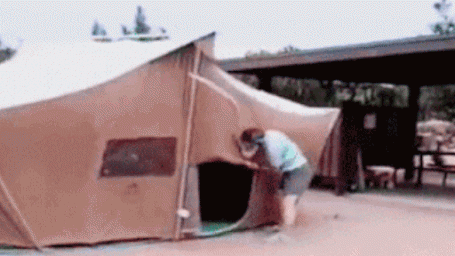 Мои прошедшие студенческие: летний нон-стоп