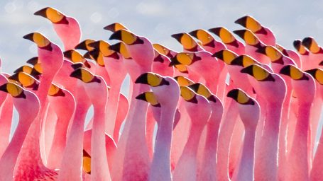 7 вопросов о первом курсе