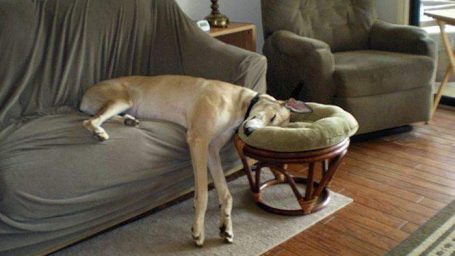 Камасутра сна