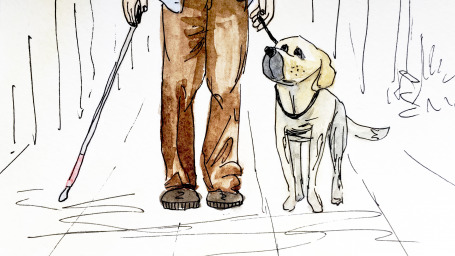 Доброта без границ