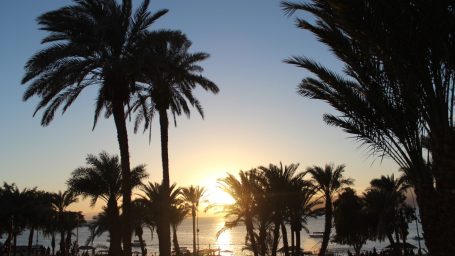 По стопам: путеводитель по Иордании