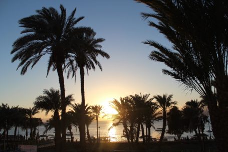 По стопам: путеводитель по Иордании