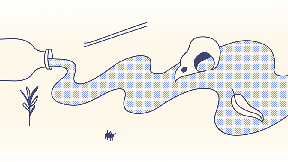 Экосистема Воробьёвых гор под угрозой