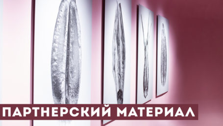 «Пакет не нужен»